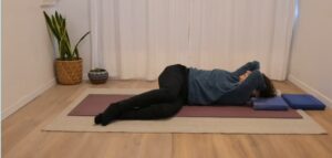 הצלעות על הצד